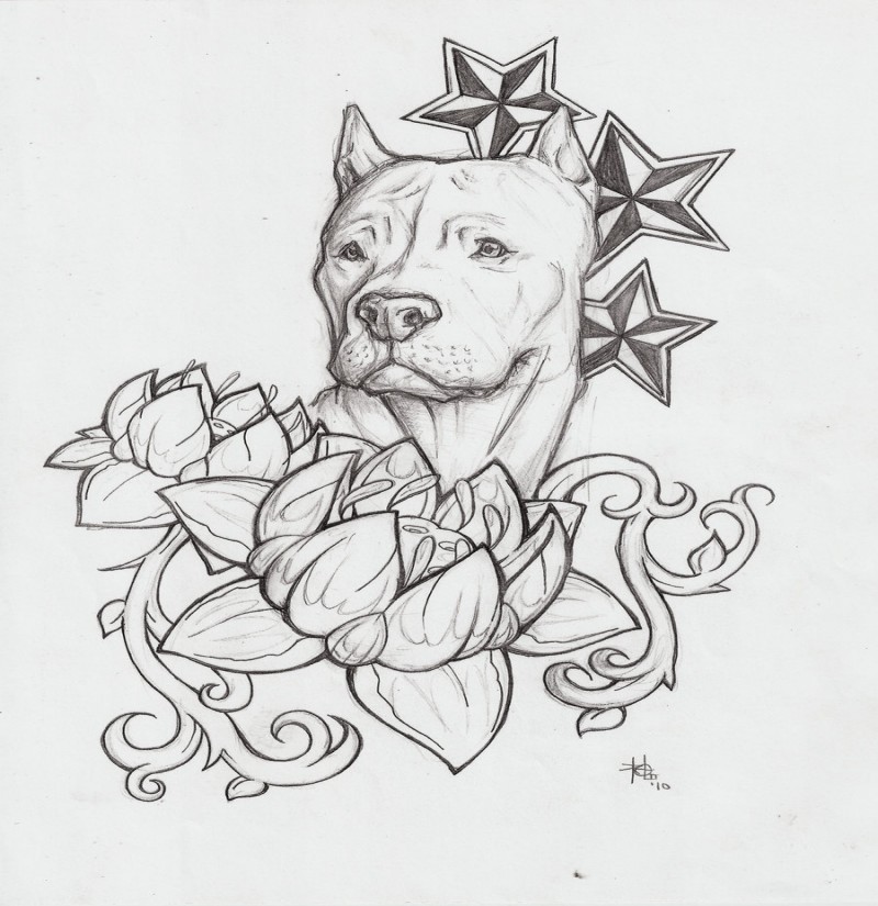 Breathtaking uncolored dog with stars and flowers tattoo design