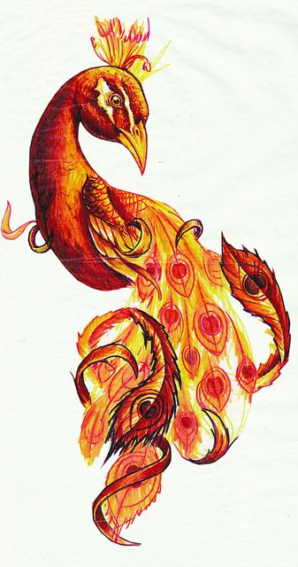 Bright fire orange peacock portrait tattoo design