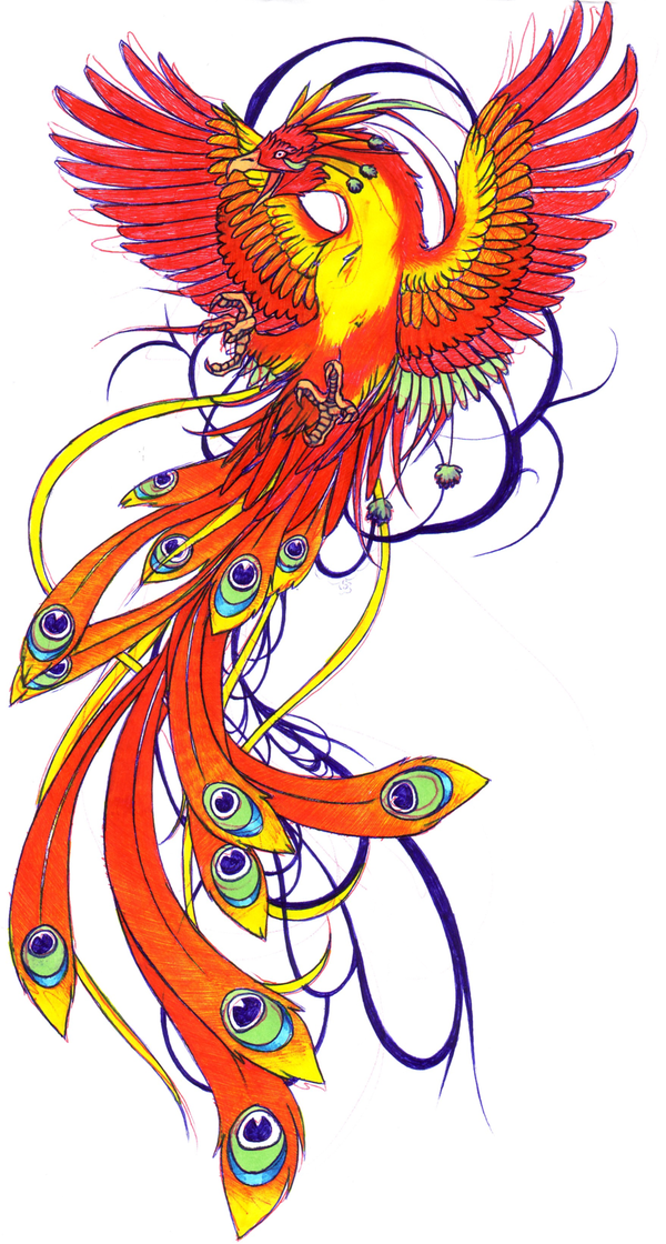 Bright orange phoenix with blue curles tattoo design by Kissy Face