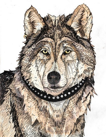 Brown-color wolf in beaded collar tattoo design