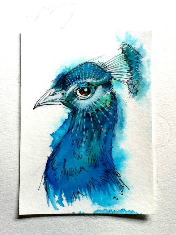 Brown-eyed blue watercolor peacock portrait tattoo design