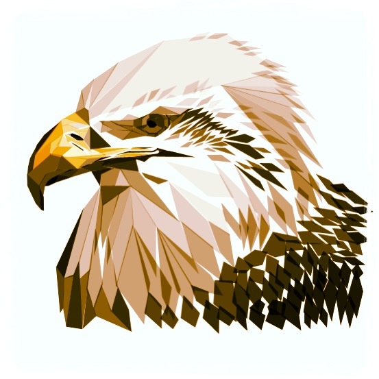 Brown geometric eagle portrait in profile tattoo design