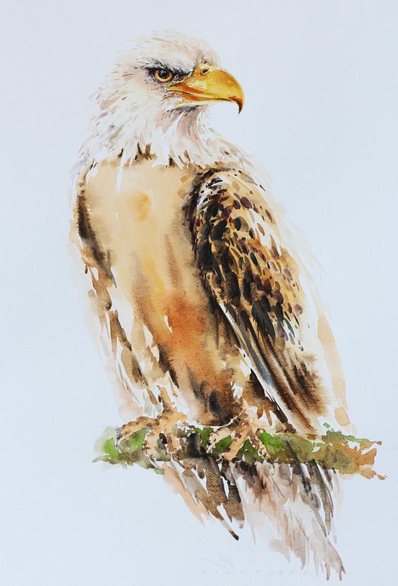 Brown sitting eagle with watercolor effect tattoo design