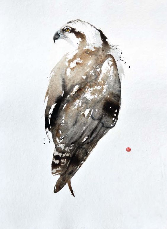Brown watercolor wild bird tattoo design