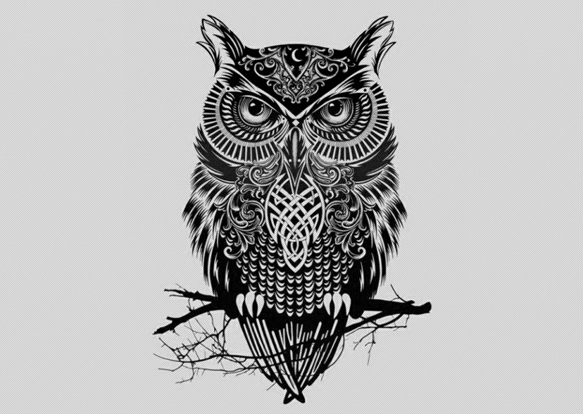 Calm black sitting owl with celtic sign tattoo design