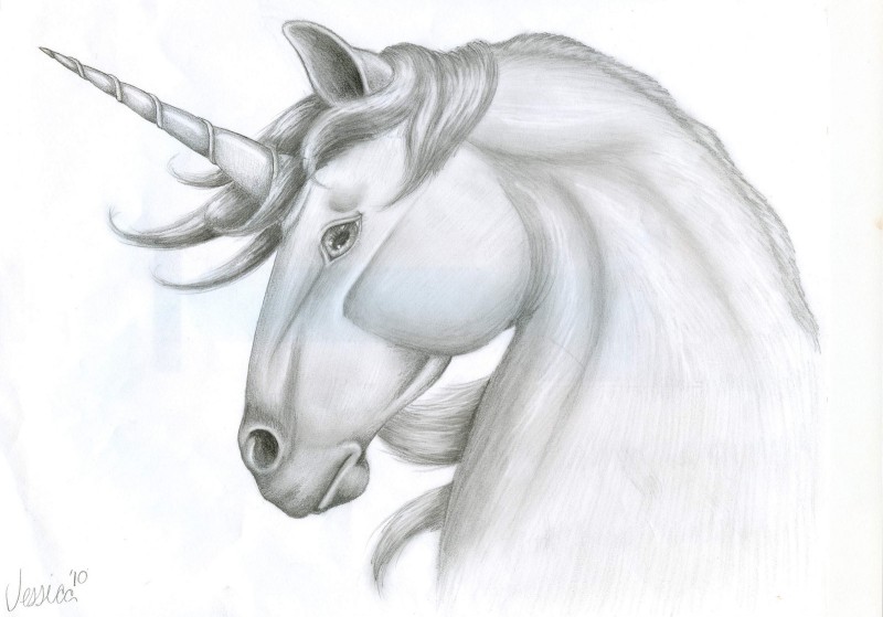 Calm charming grey pencilwork unicorn head tattoo design by Velverlicious