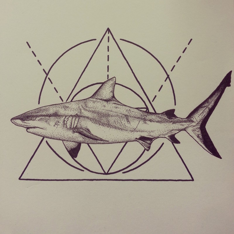 Calm diving shark on geometric drawings background tattoo design