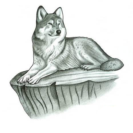Calm drawn grey-ink wolf lying on rock tattoo design