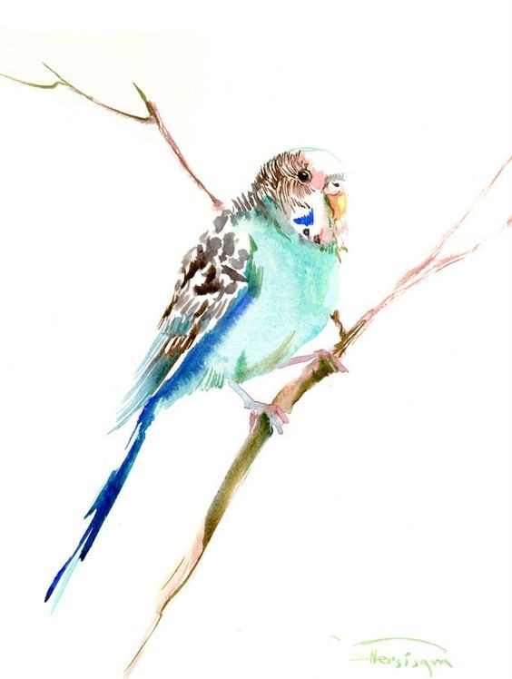 Calm light blue parrot sitting on tree tattoo design