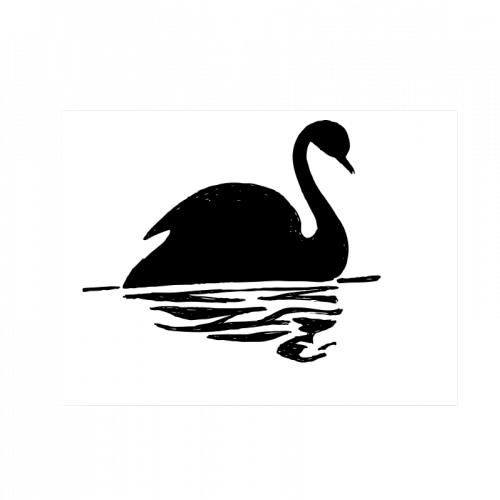 Calm mystic black swan with its reflection in water tattoo design