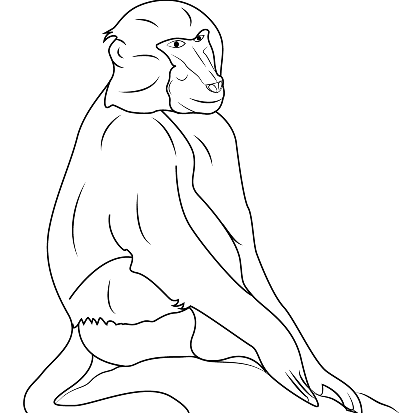 Calm outline sitting baboon tattoo design