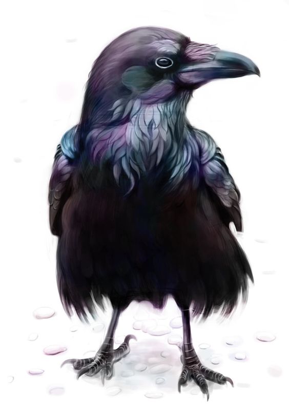 Calm standing raven with purple shadow tattoo design