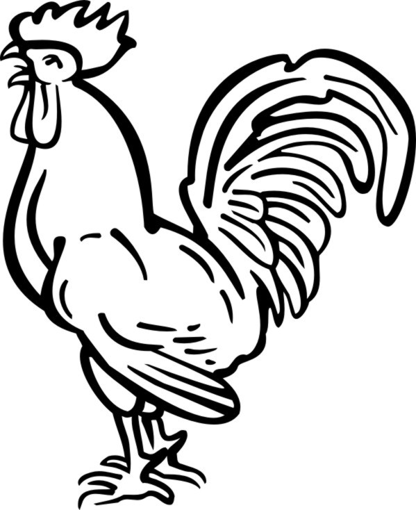 Cartoon outline rooster tattoo design