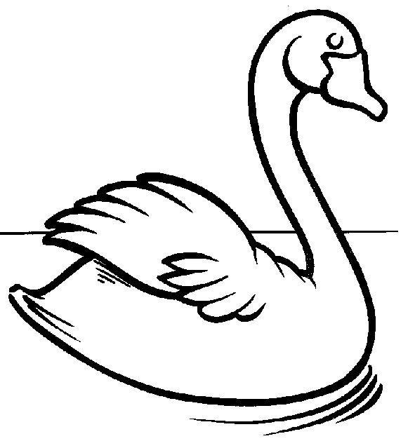 Cartoon outline swan swimming in lake tattoo design