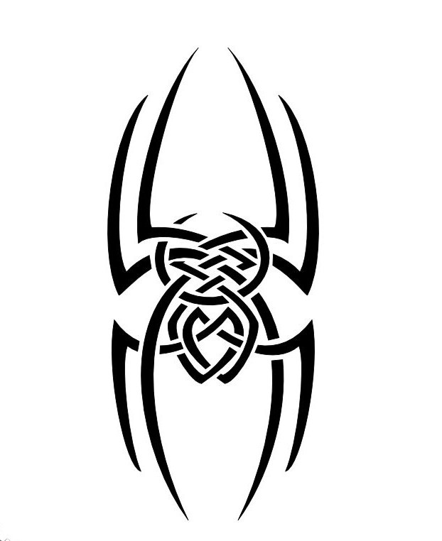 Celtic ornate spider tattoo design