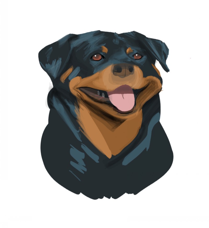 Charming colored rottweiler with hanging tongue tattoo design