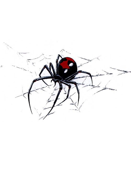 Charming colorful black widow spider on web tattoo design