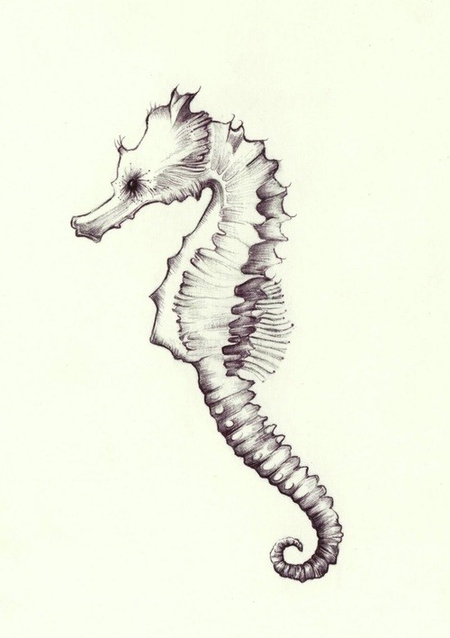 Charming grey-ink seahorse tattoo design