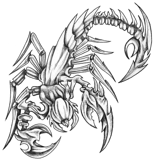 Charming grey drawn scorpion tattoo design
