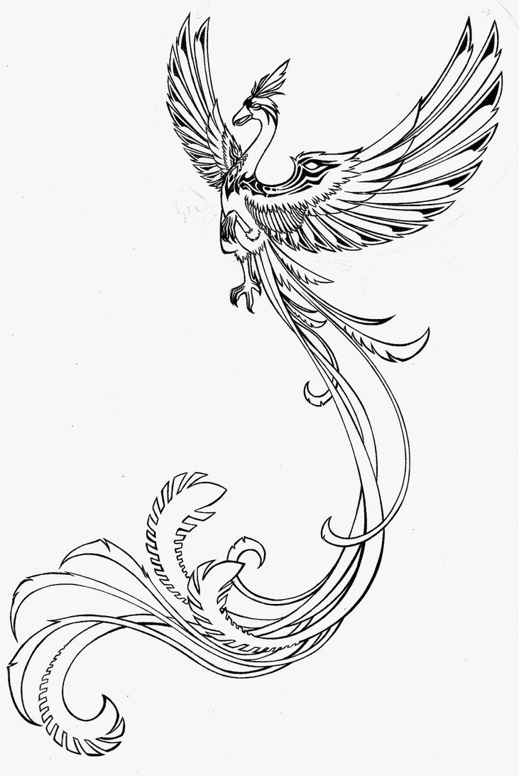 Charming outline flying phoenix tattoo design by Larutanrepus