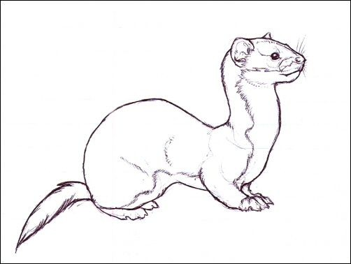 Charming outline rodent tattoo design