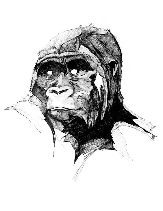 Charming pencil-drawn gorilla portrait tattoo design