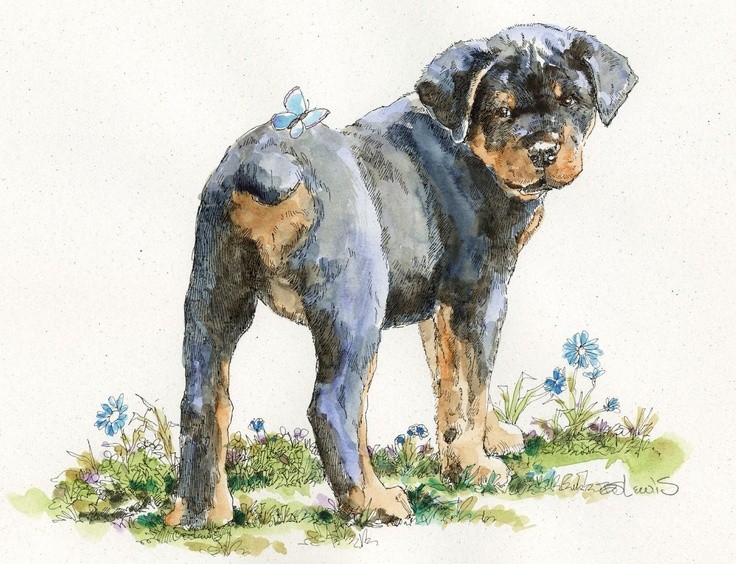 Charming rottweiler puppy with blue butterfly on tail tattoo design