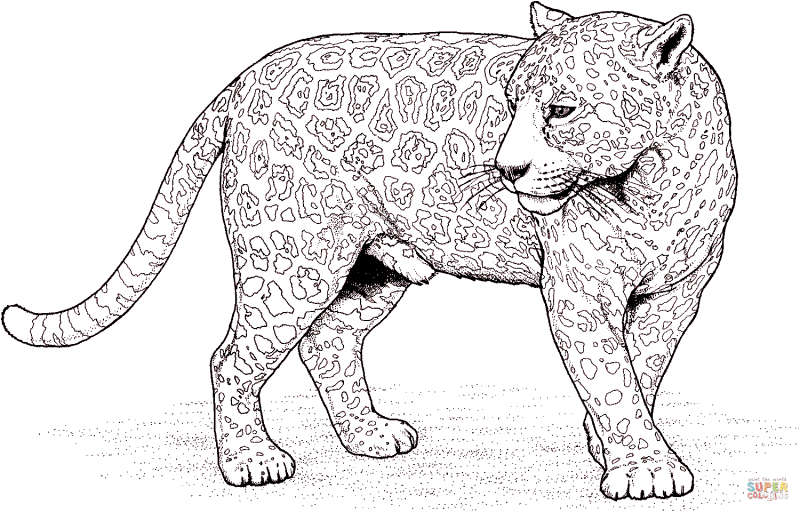 Charming white outline spotted jaguar tattoo design