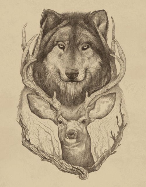 Charming wolf and long-horned deer tattoo design