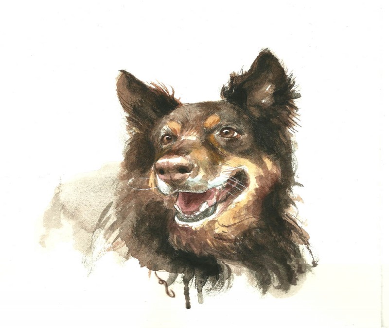 Cheerful brown dog portrait tattoo design