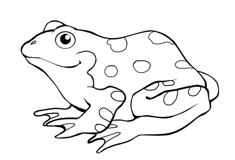 Cheerful uncolored frog in spots tattoo design