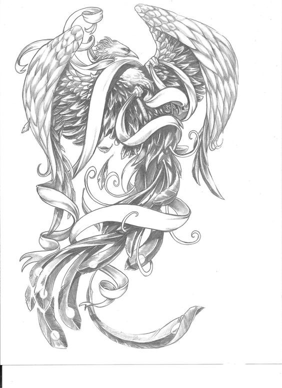 Chic grey-ink phoenix curled with quoteless banner tattoo design