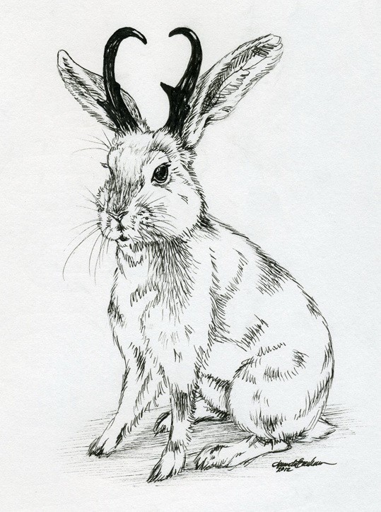 Chic uncolored sitting hare with black horns tattoo design by M Everham