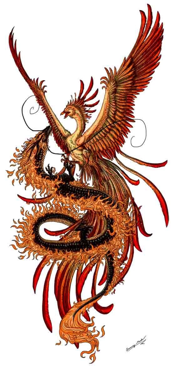 Chinese dragon and phoenix fight in black-and-orange colors tattoo design