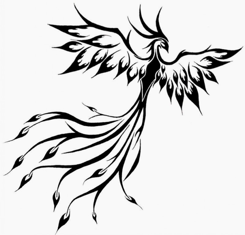 Classic black-ink tribal phoenix tattoo design