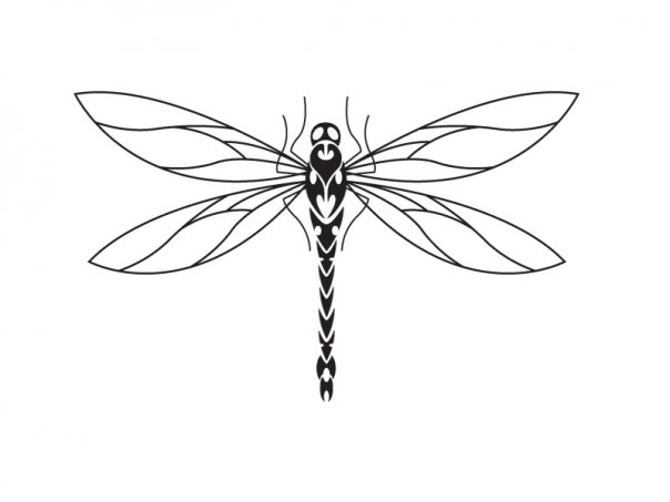 Clean-wing static dragonfly tattoo design by Micma