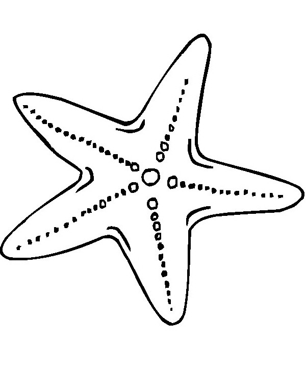 Clear starfish with spotted veins tattoo design