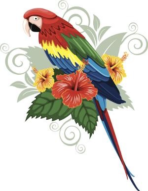 Colored parrot and hibiscus flowers on grey curled background tattoo design