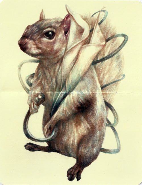 Colored squirrel with swirly line element tattoo design