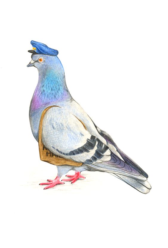 Colorful dove postman tattoo design