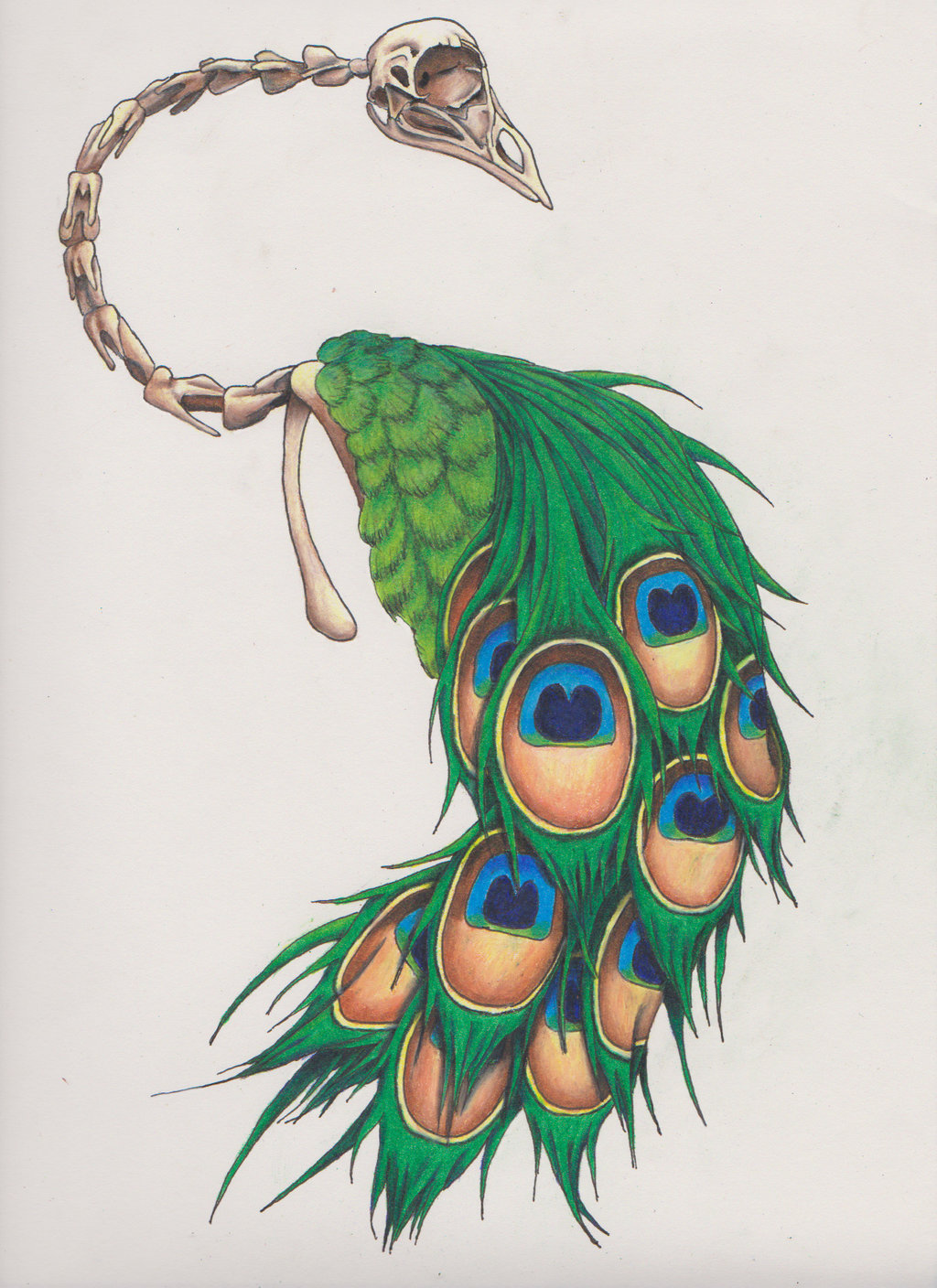 Colorful peacock with skeleton head tattoo design by Deezneedsammo