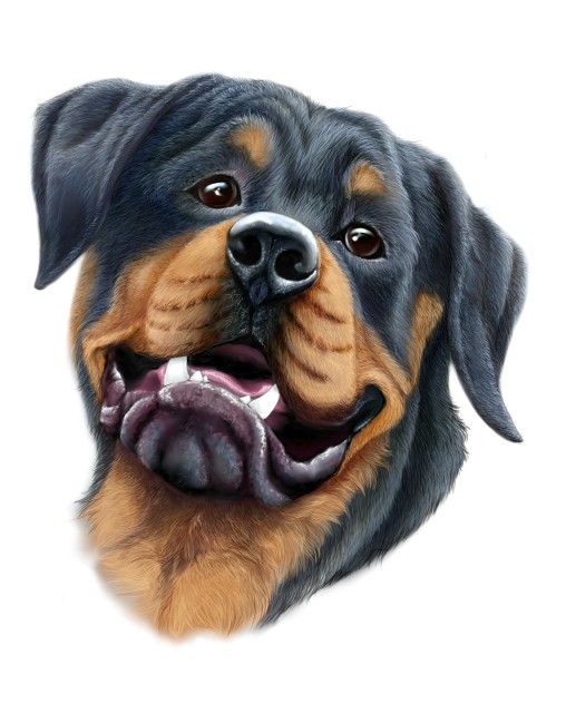Colorful puppy rottweiler portrait tattoo design by Steelc