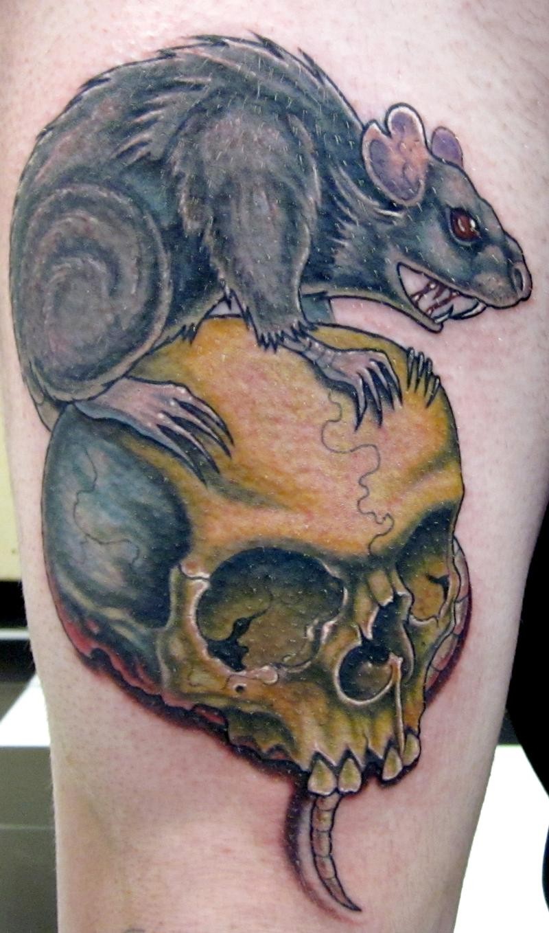 Colorful rodent on skull tattoo on upper arm
