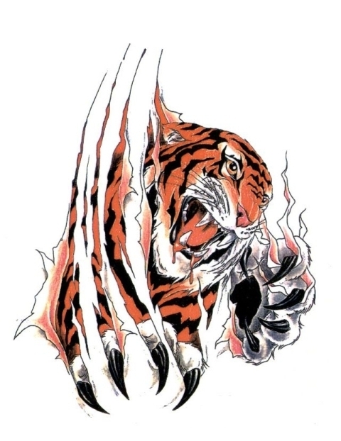 Colorful tiger with bloody mouth tearing skin tattoo design