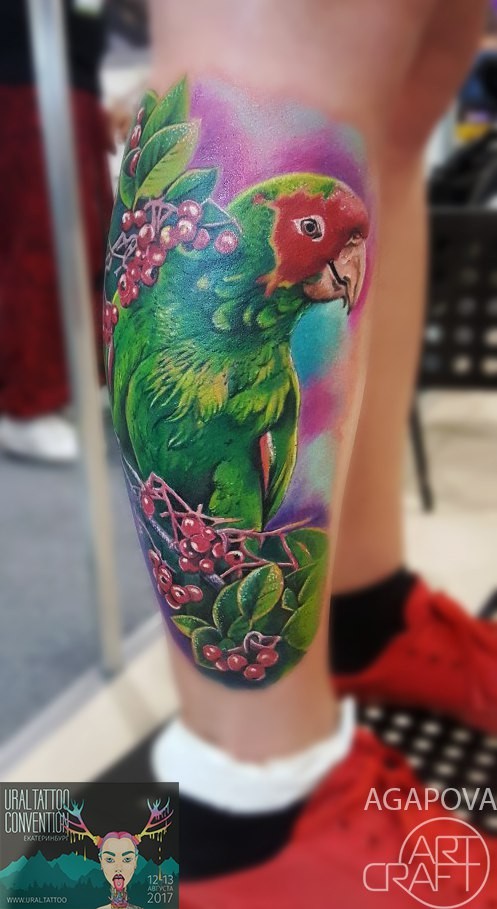 Colorfull parrot tattoo on leg