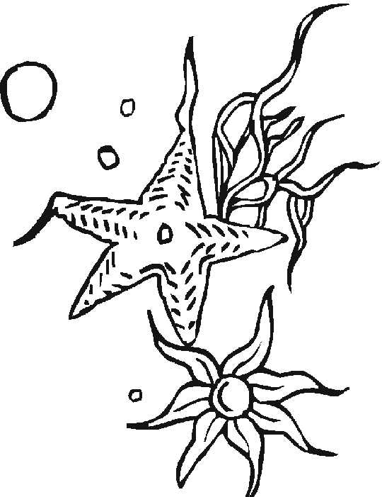 Colorless starfish couple and weeds tattoo design