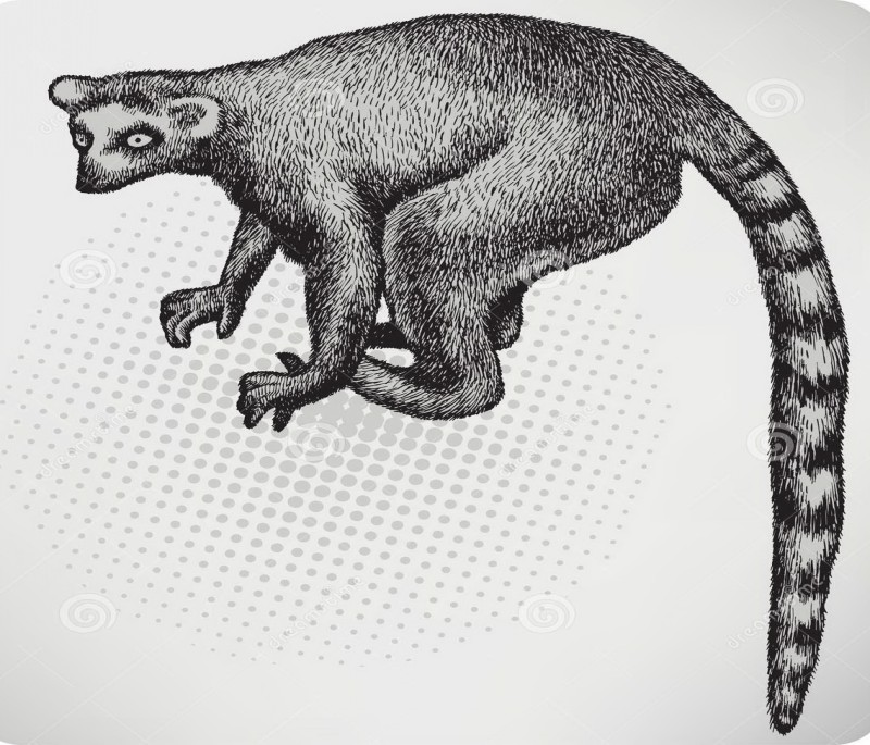 Confused black-ink lemur on grey spotted background tattoo design