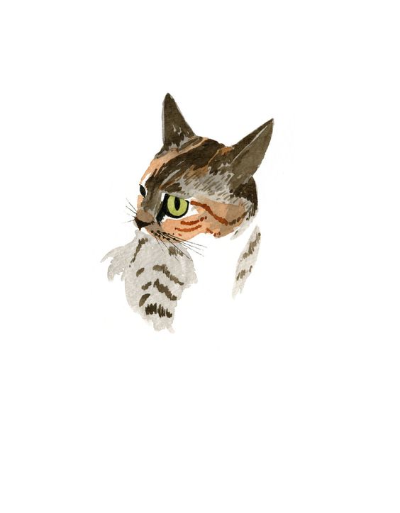 Confused green-eyed cat tattoo design