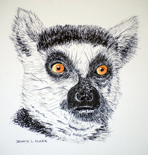Cool black-and-white orange-eyed lemur head tattoo design