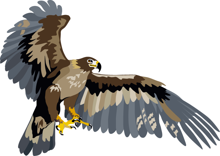 Cool brown-and-grey flying eagle tattoo design